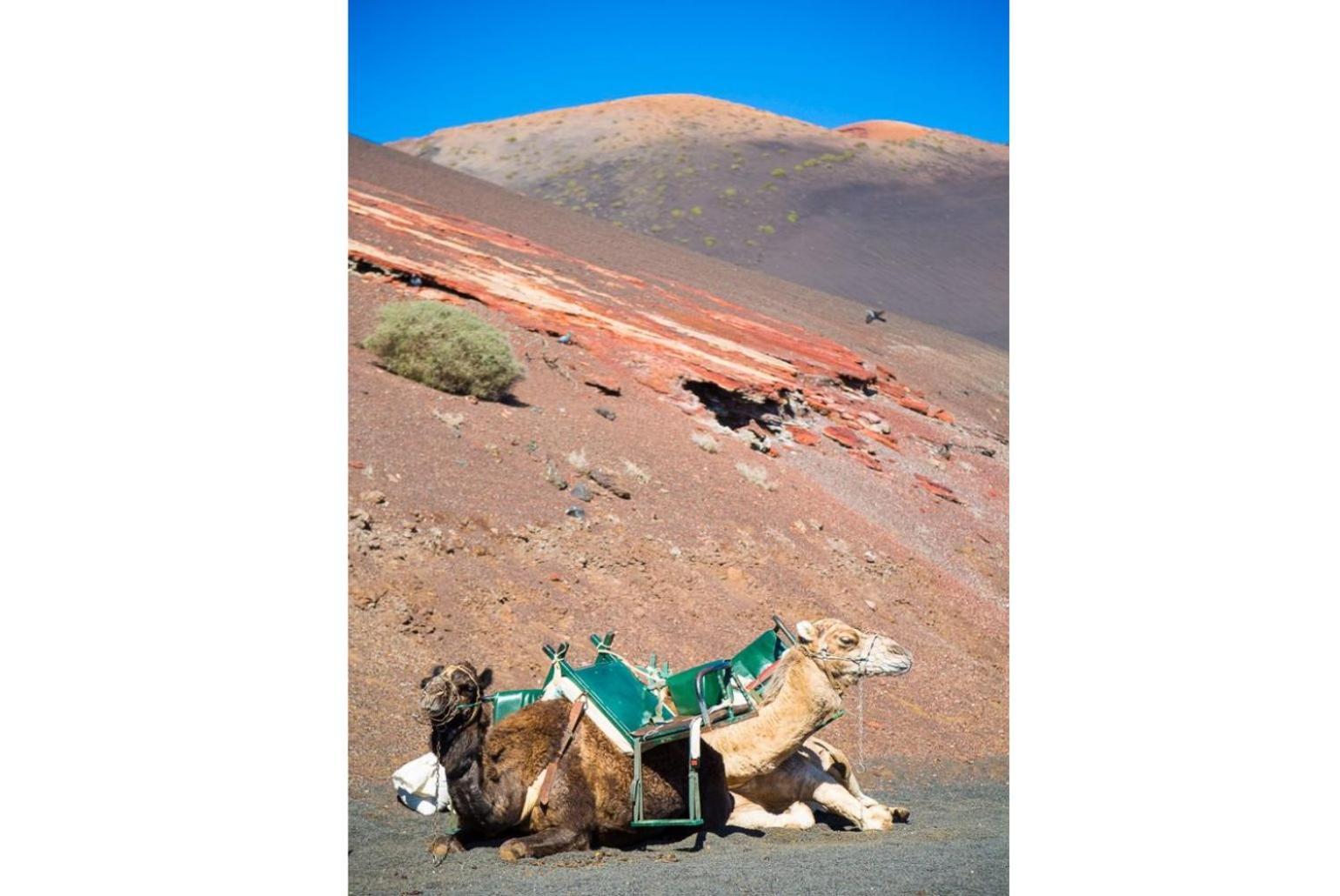 Villa Isla De Lobos بويرتو ذيل كارمين المظهر الخارجي الصورة